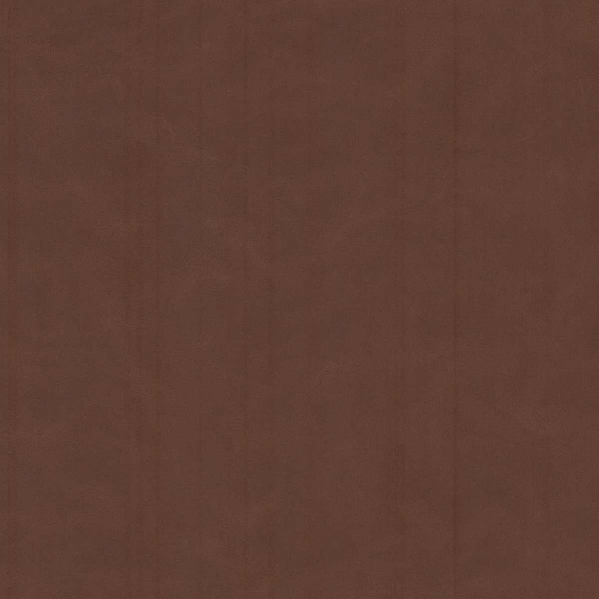 CERVANTES 3 RAISIN