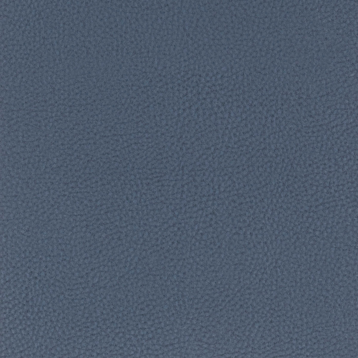 CLASSIC 1 BLUEBERRY