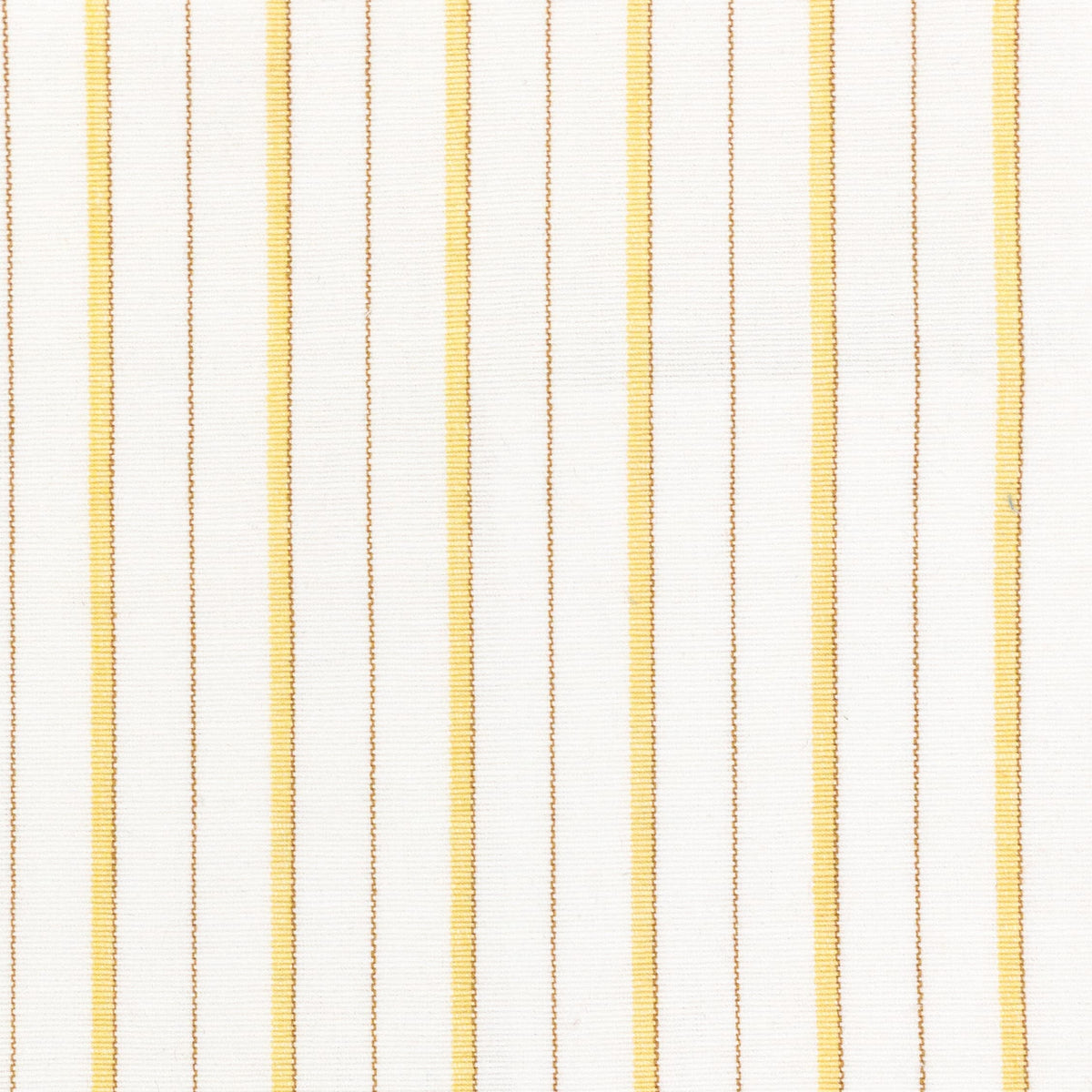 COMANCHE 3 BUTTERCUP