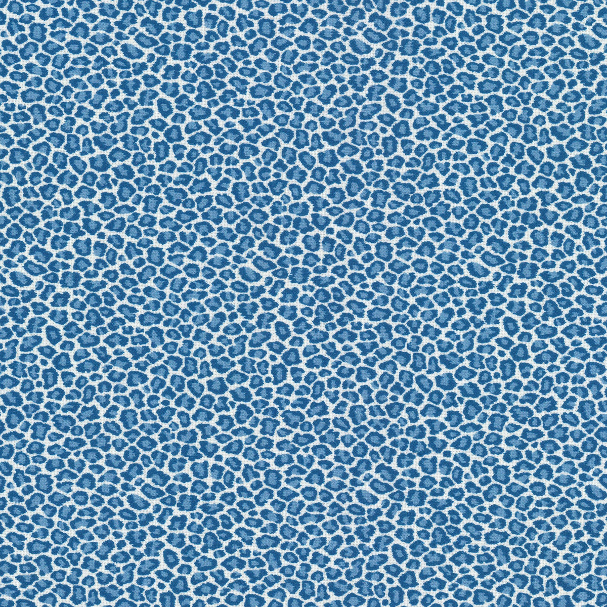 COPYCAT 1 BLUEBIRD