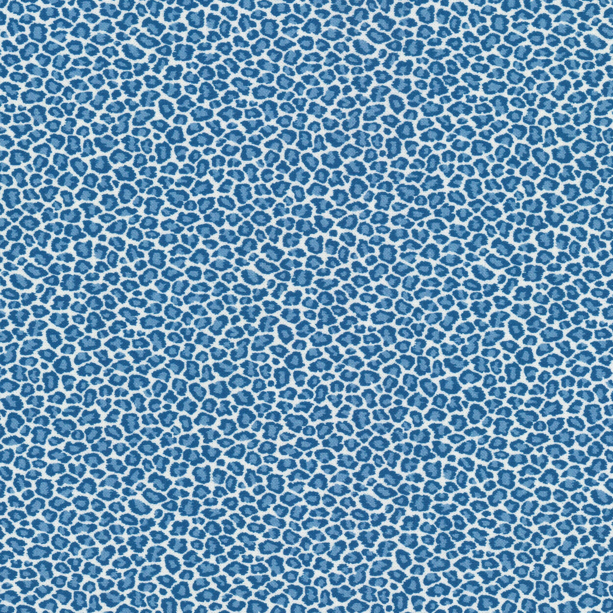 COPYCAT 1 BLUEBIRD