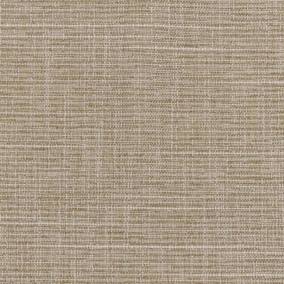CRATER 7 RAFFIA