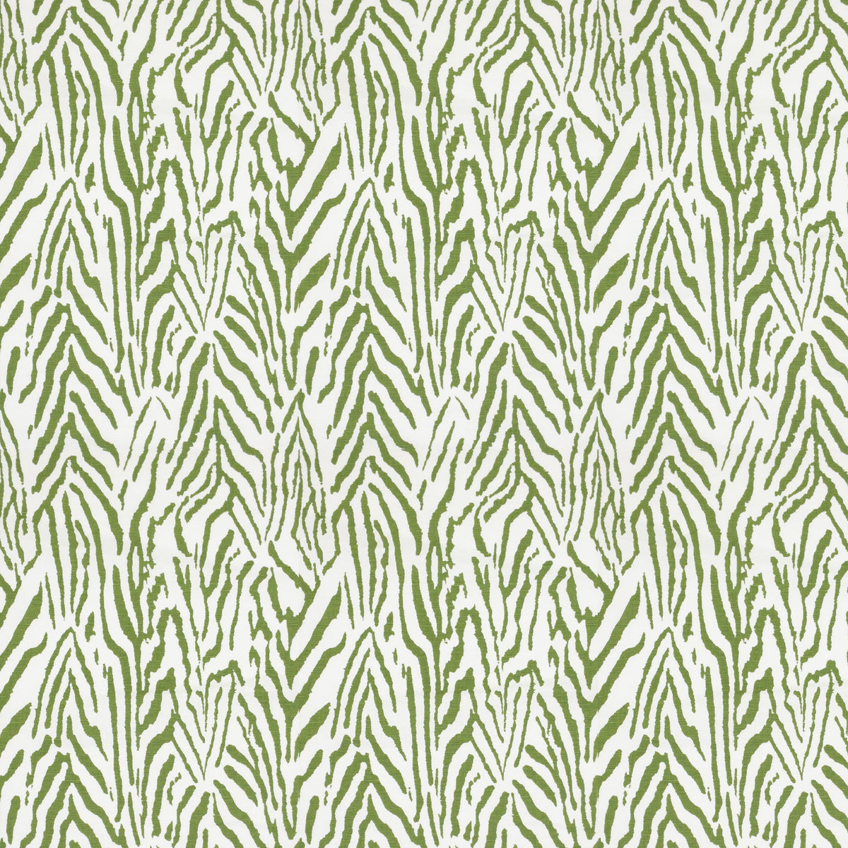 CYRENE 1 GRASS