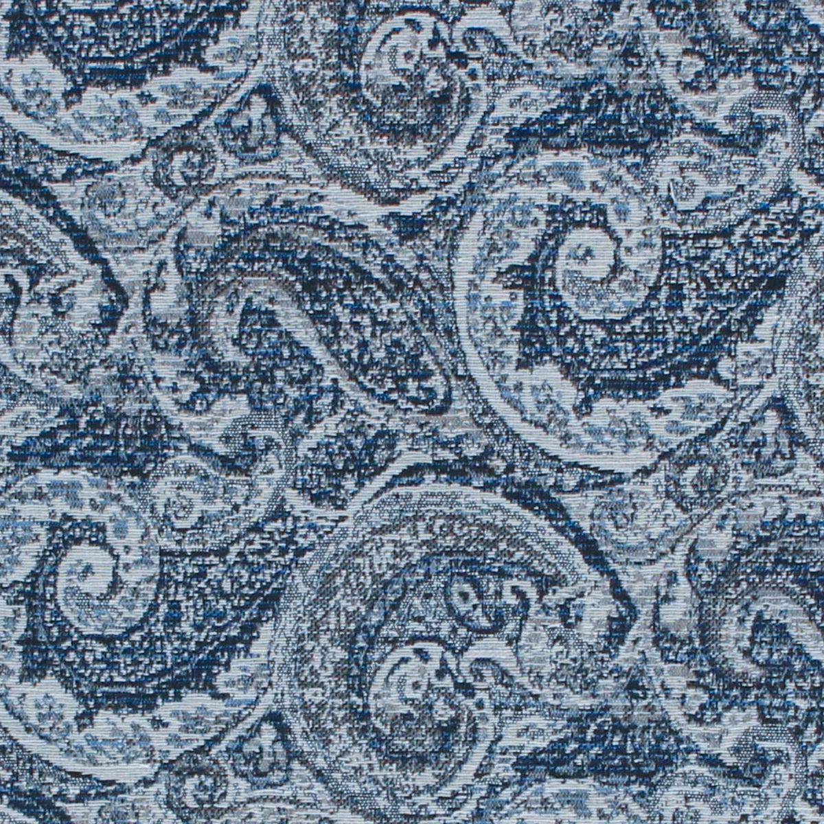 COPLEY PAISLEY / INDIGO