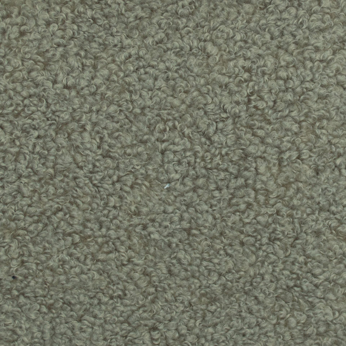 Cuddle Performance Boucle / Chestnut