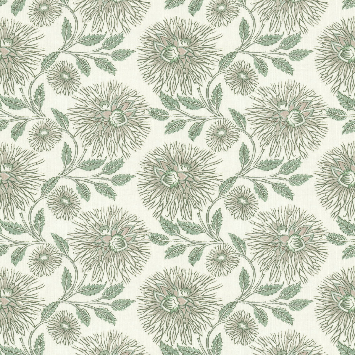 DAHLIA 1 ALOE