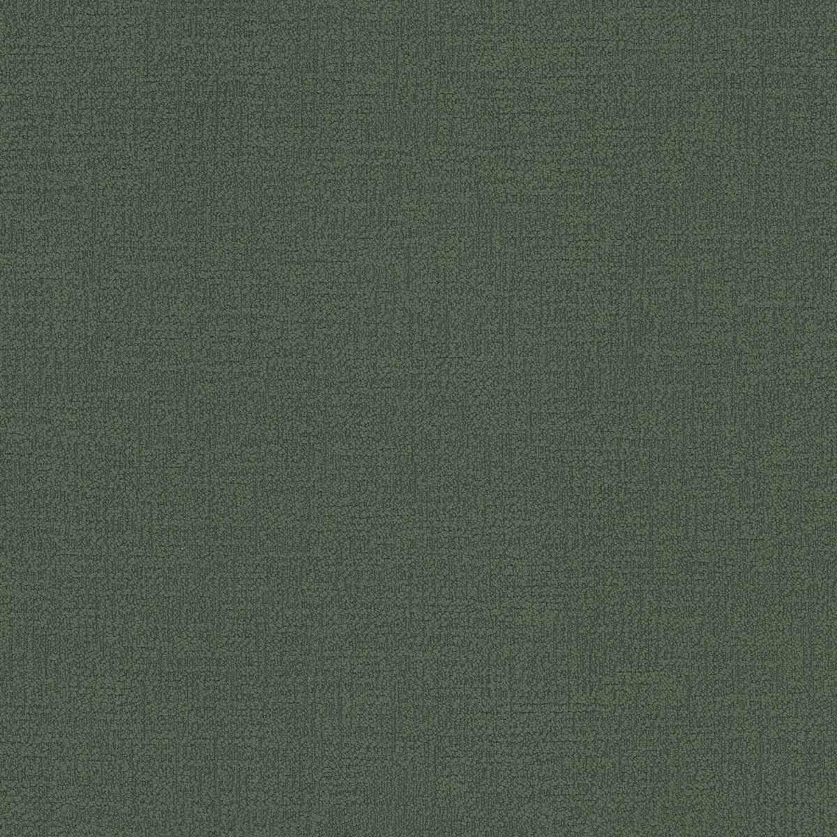 DECORUM 2 EVERGREEN