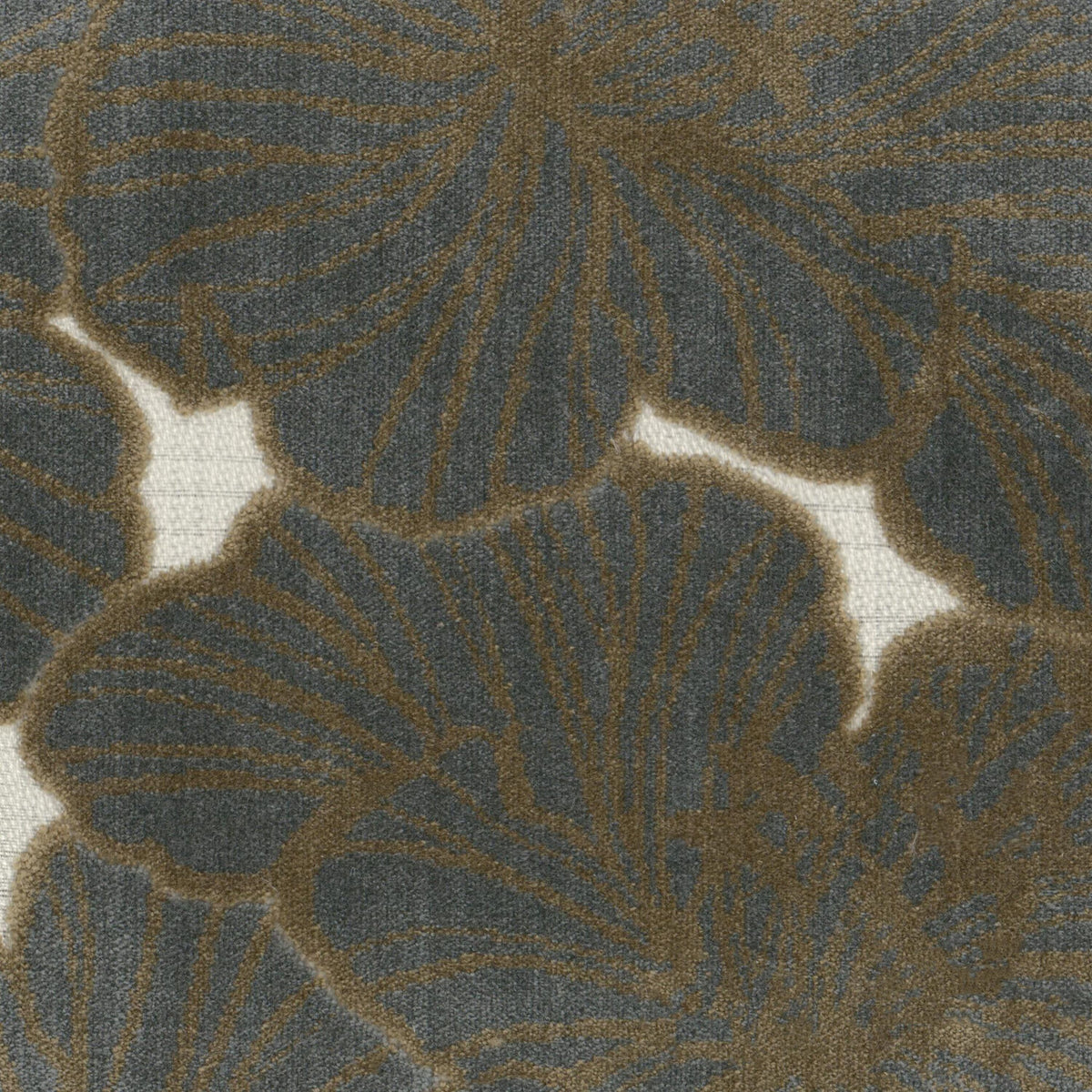 DELPHI 1 SHADOW
