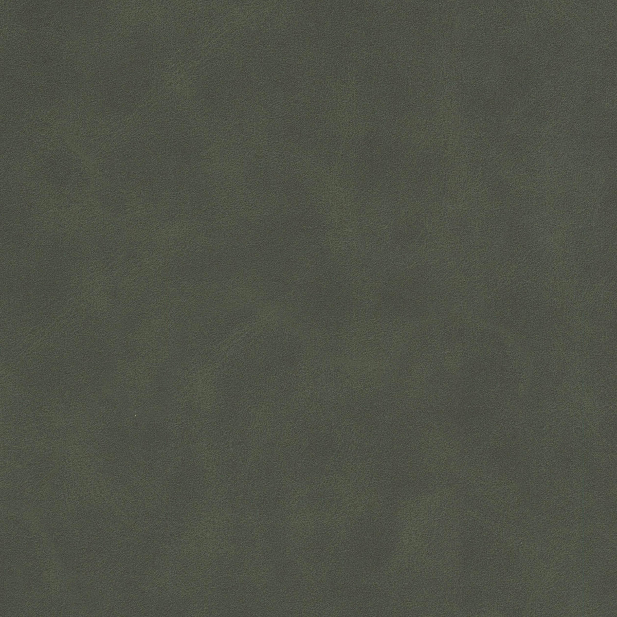 DETERMINE 2 HUNTER