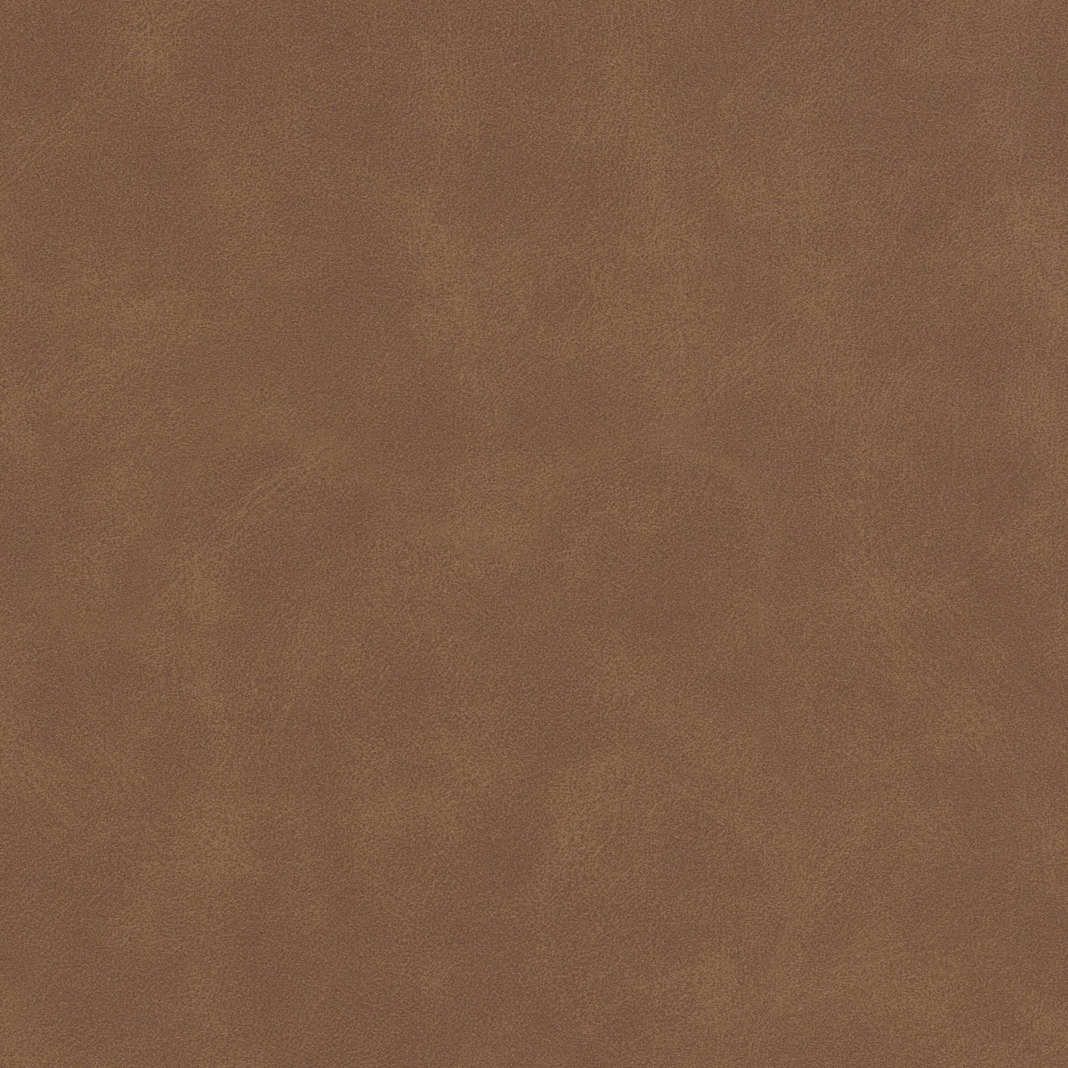 DETERMINE 4 CEDAR