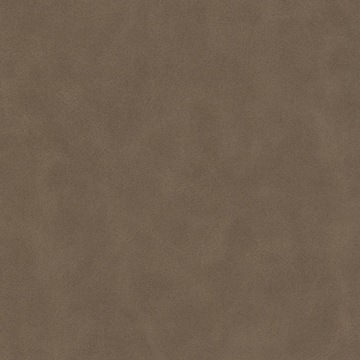 DETERMINE 5 FAWN