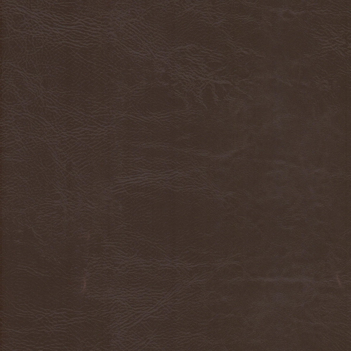 DEWDROP 3 RAISIN