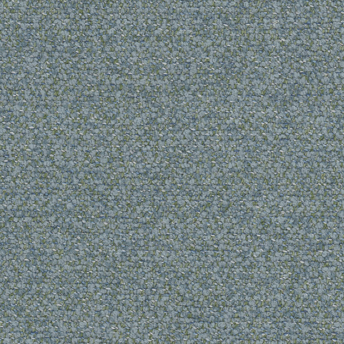 DIFFERENCE 1 BAYBERRY