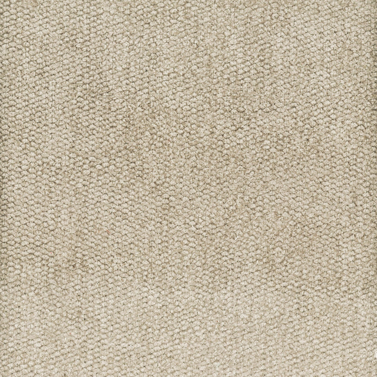 STOUT DOME 2 DOVE Fabric | Atlanta Fabrics