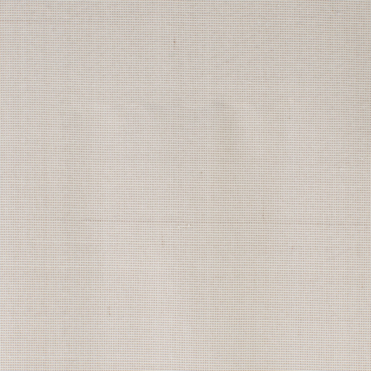STOUT DUPIONI 11 BIRCH Fabric | Atlanta Fabrics