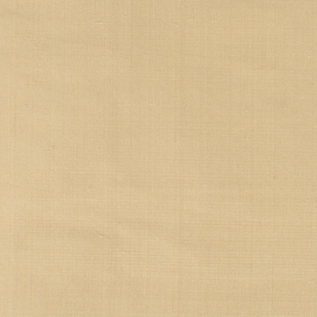 STOUT DUPIONI 17 CHAMOIS Fabric | Atlanta Fabrics