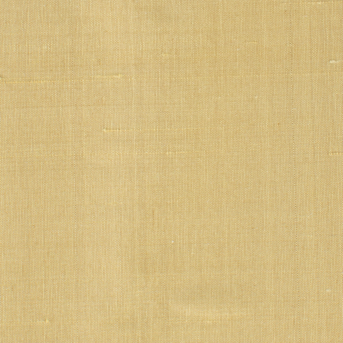 DUPIONI 24 PARCHMENT