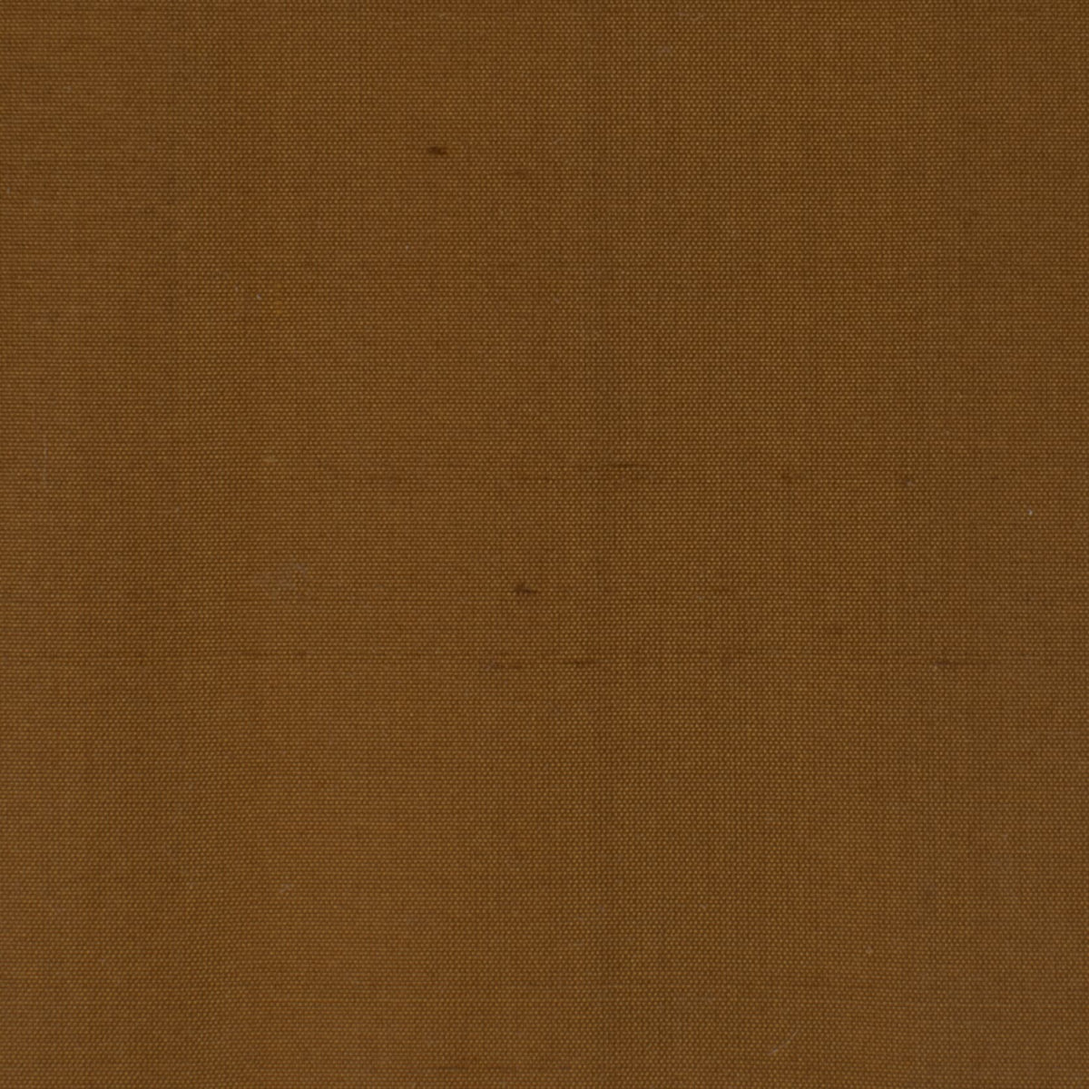 DUPIONI 31 SPICE