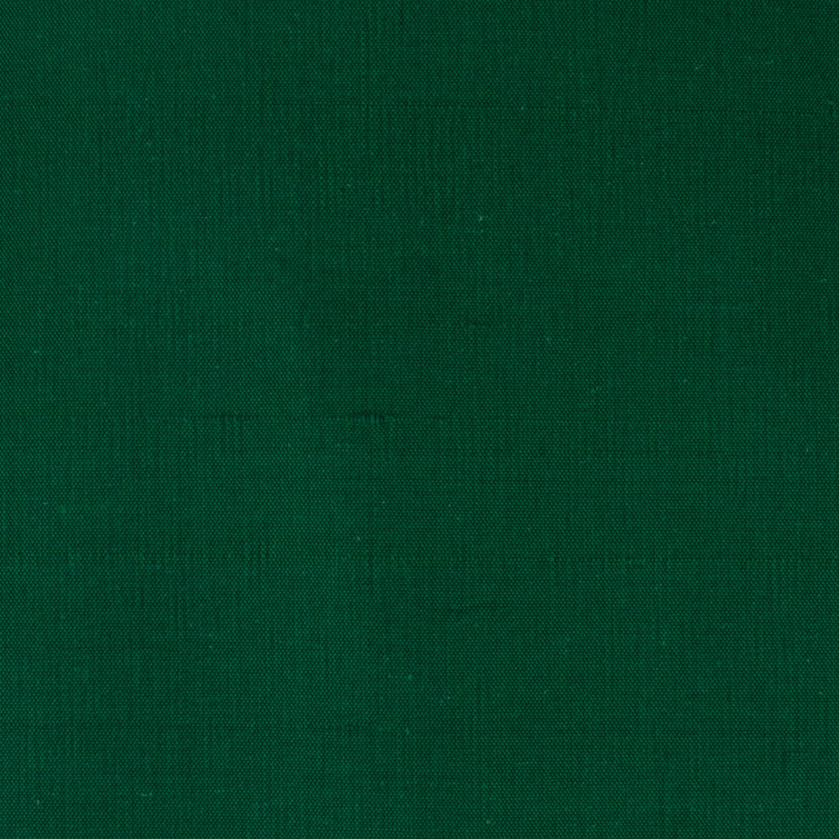 STOUT DUPIONI 44 EVERGREEN Fabric | Atlanta Fabrics