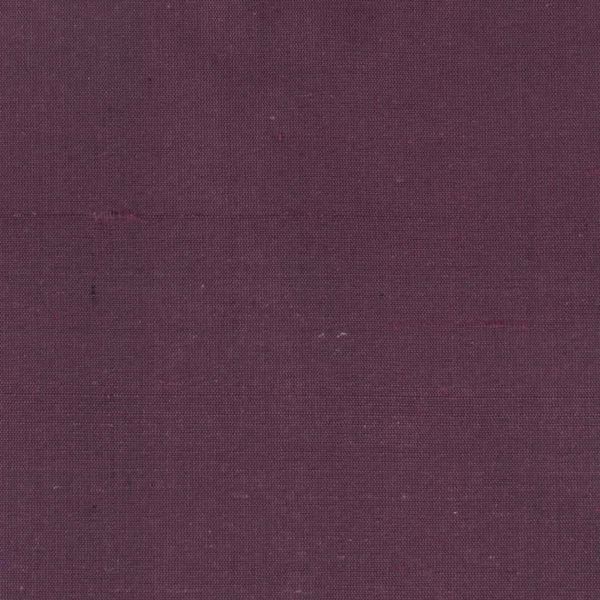 DUPIONI 63 MULBERRY