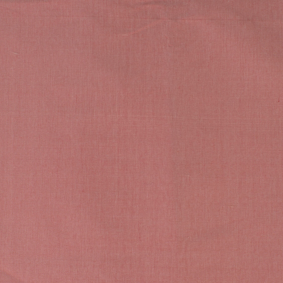 DUPIONI 67 BLUSH