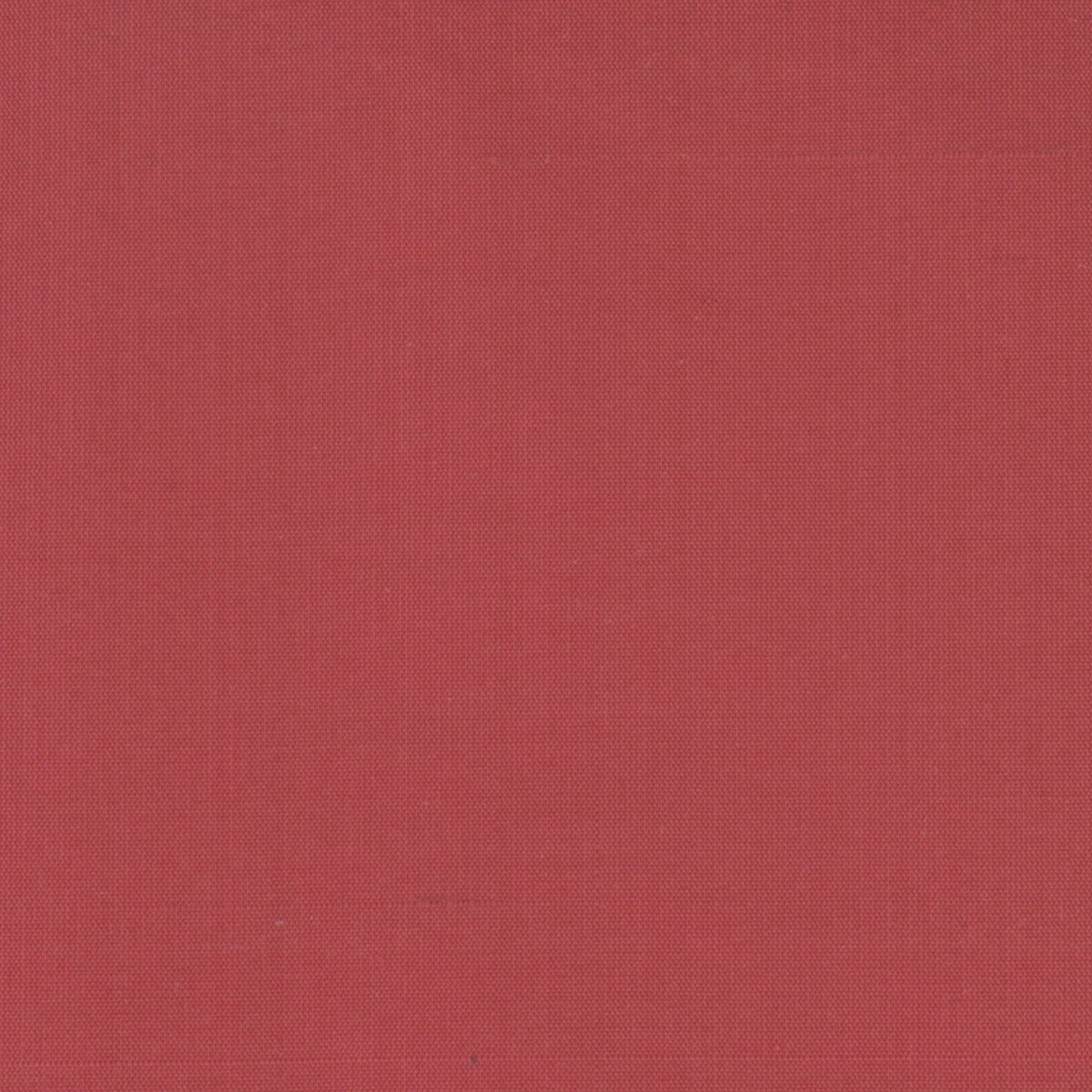 DUPIONI 68 WATERMELON