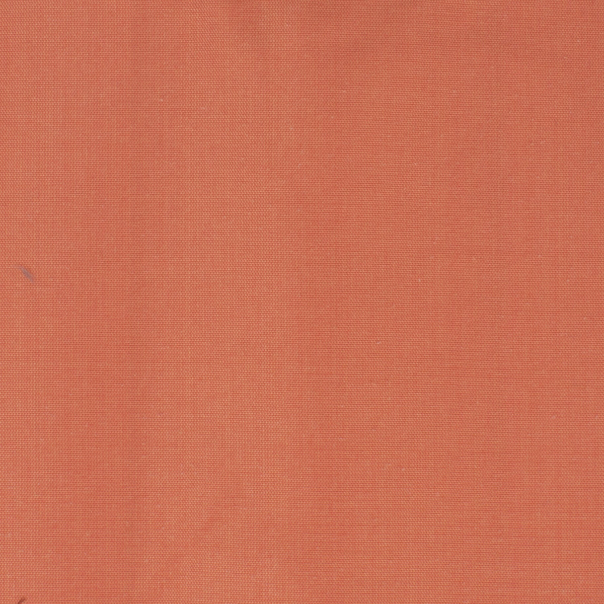DUPIONI 69 CORAL