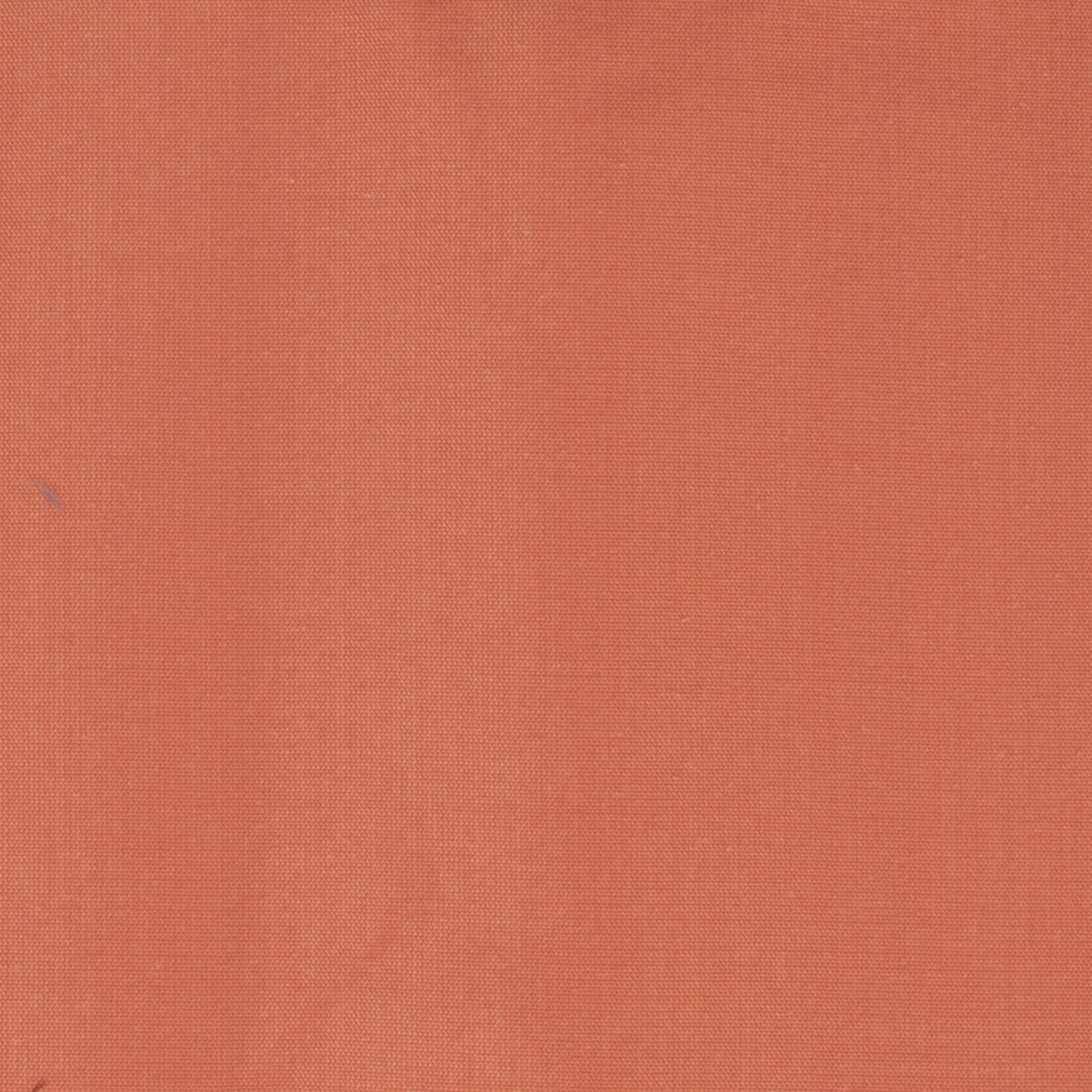 DUPIONI 69 CORAL