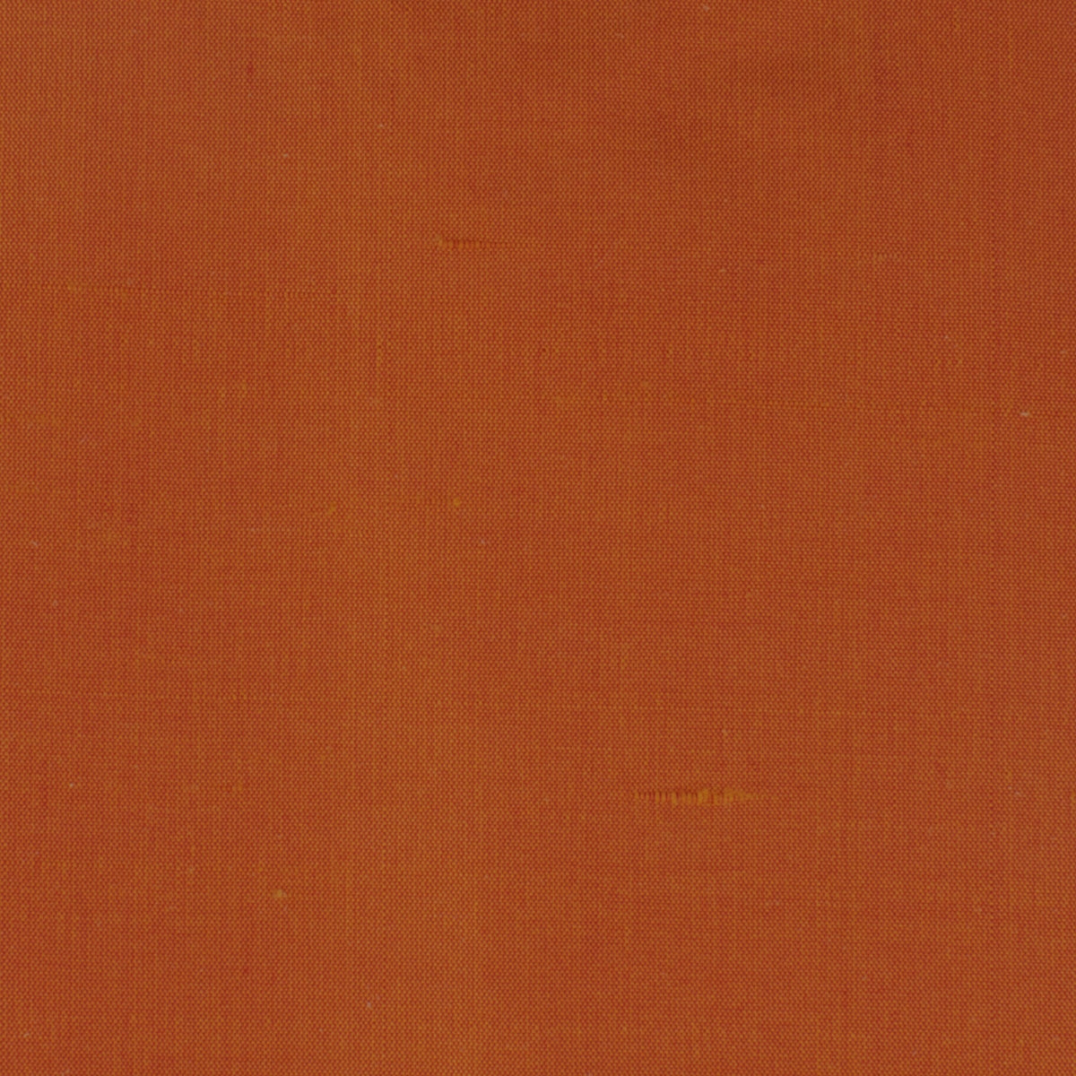 DUPIONI 72 TIGERLILY