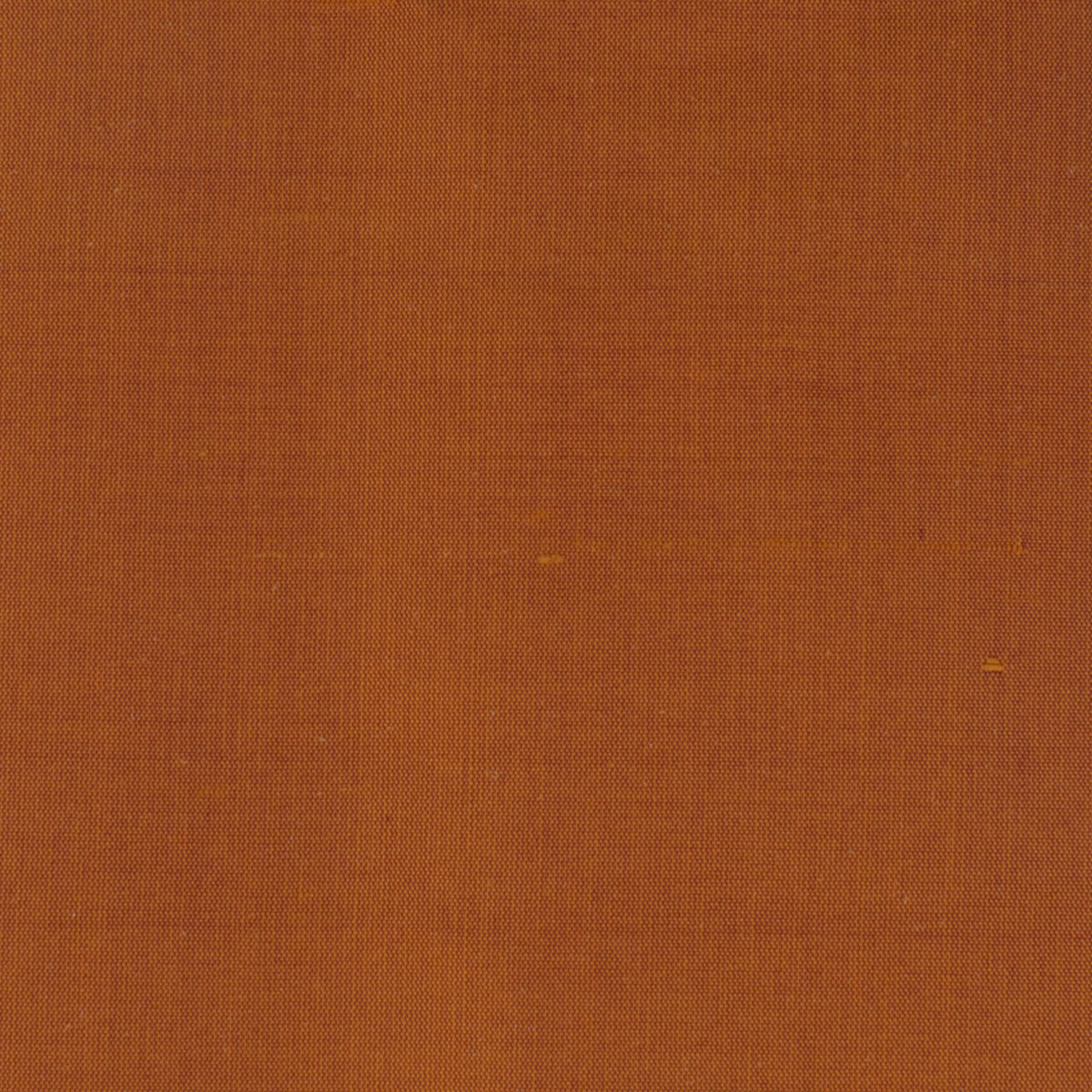DUPIONI 73 MANDARIN