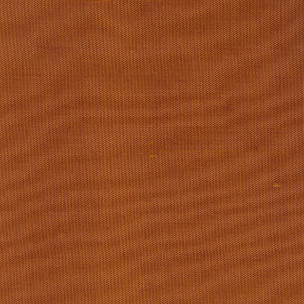 DUPIONI 73 MANDARIN