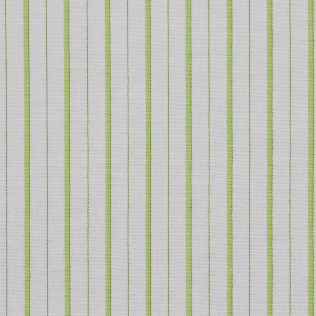 DOCKSIDE STRIPE / CITRUS