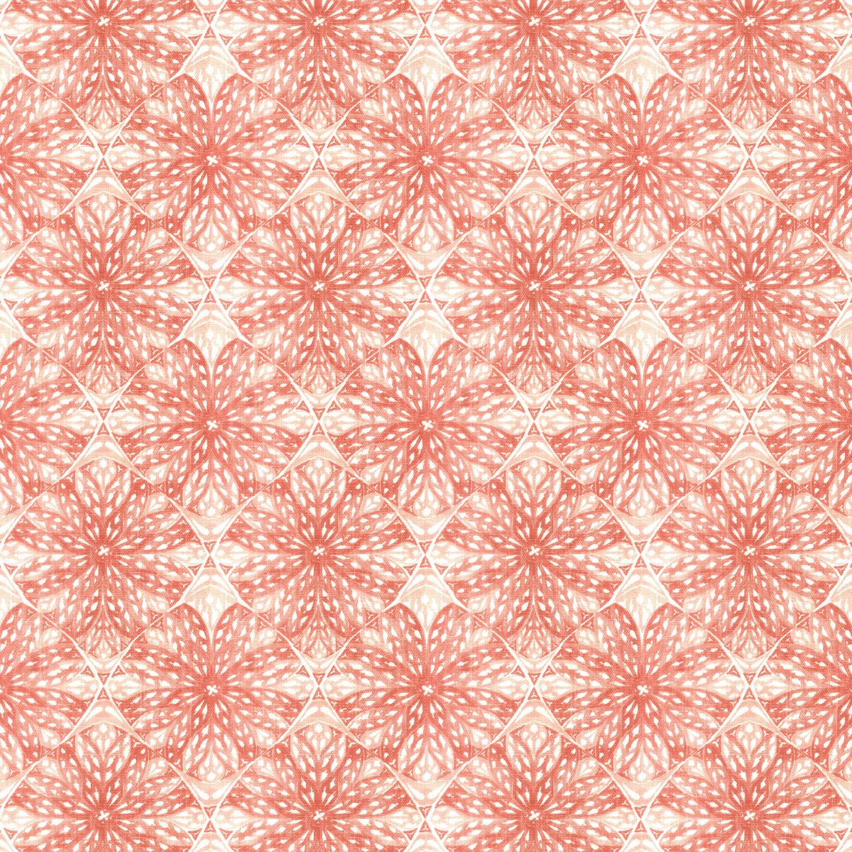 EDELWEISS 1 SALMON