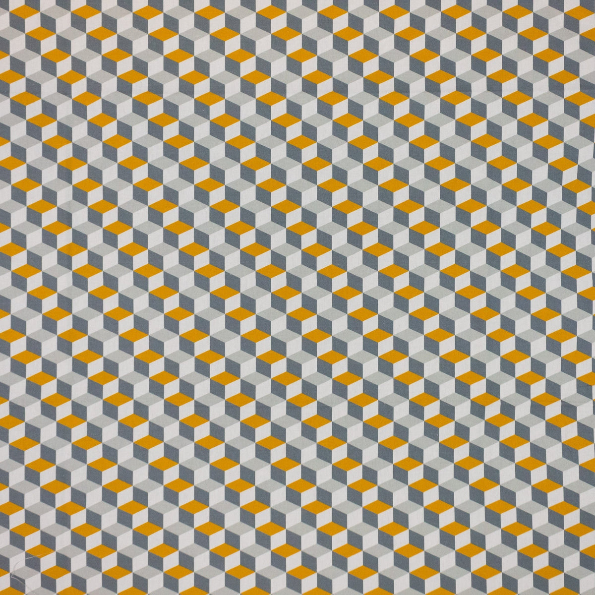 Escher Dijon