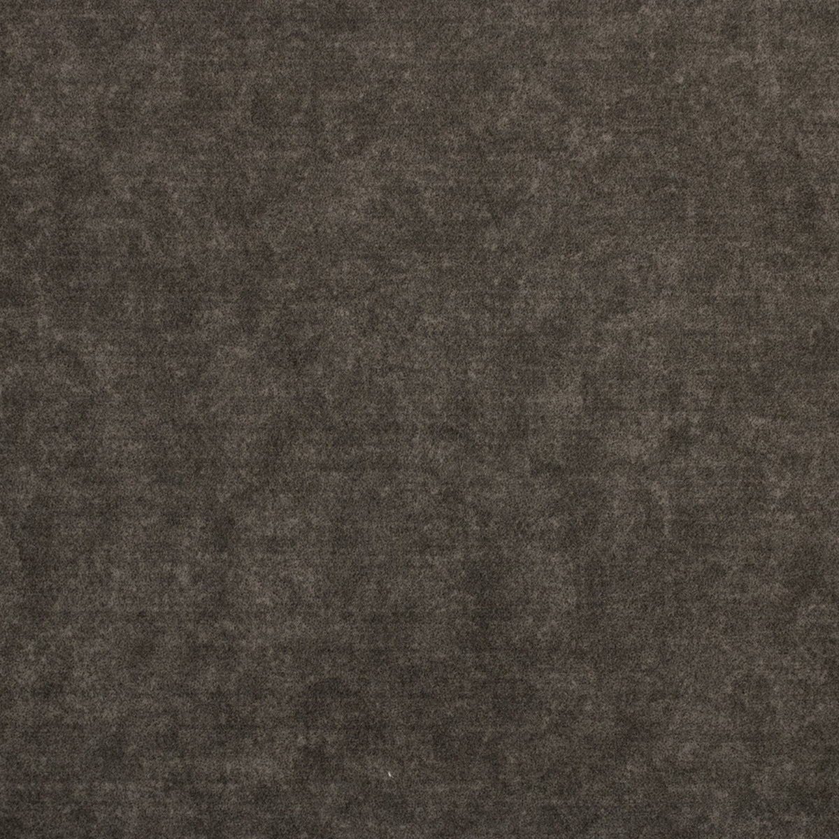 Greenhouse F4895  | Atlanta Fabrics