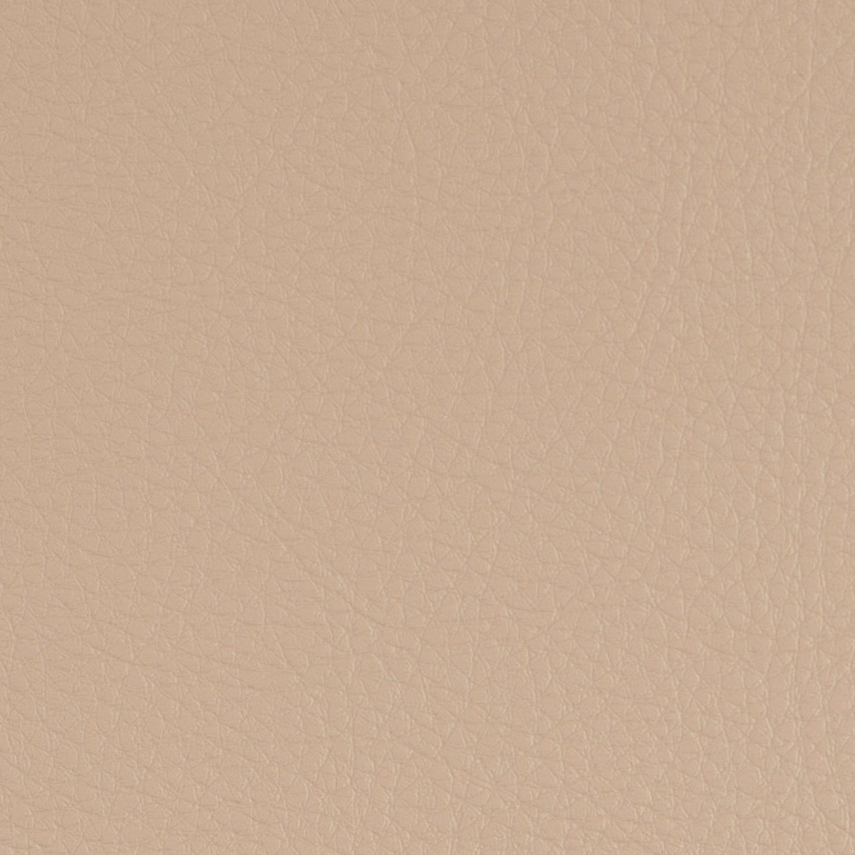 Greenhouse F4948  | Atlanta Fabrics