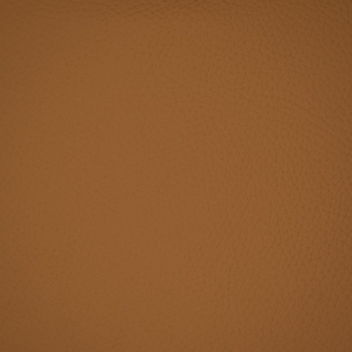 Greenhouse F4981  | Atlanta Fabrics