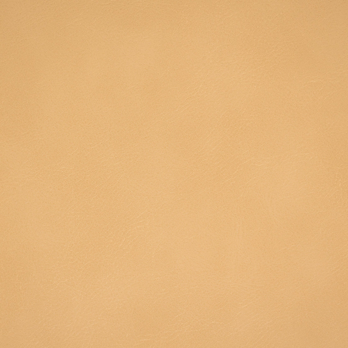 Greenhouse F4982  | Atlanta Fabrics