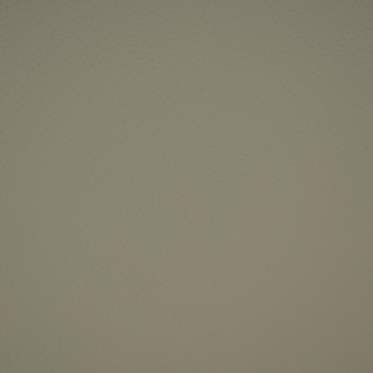 Greenhouse F4989  | Atlanta Fabrics