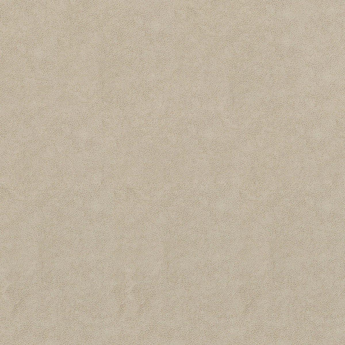 Greenhouse F5050  | Atlanta Fabrics