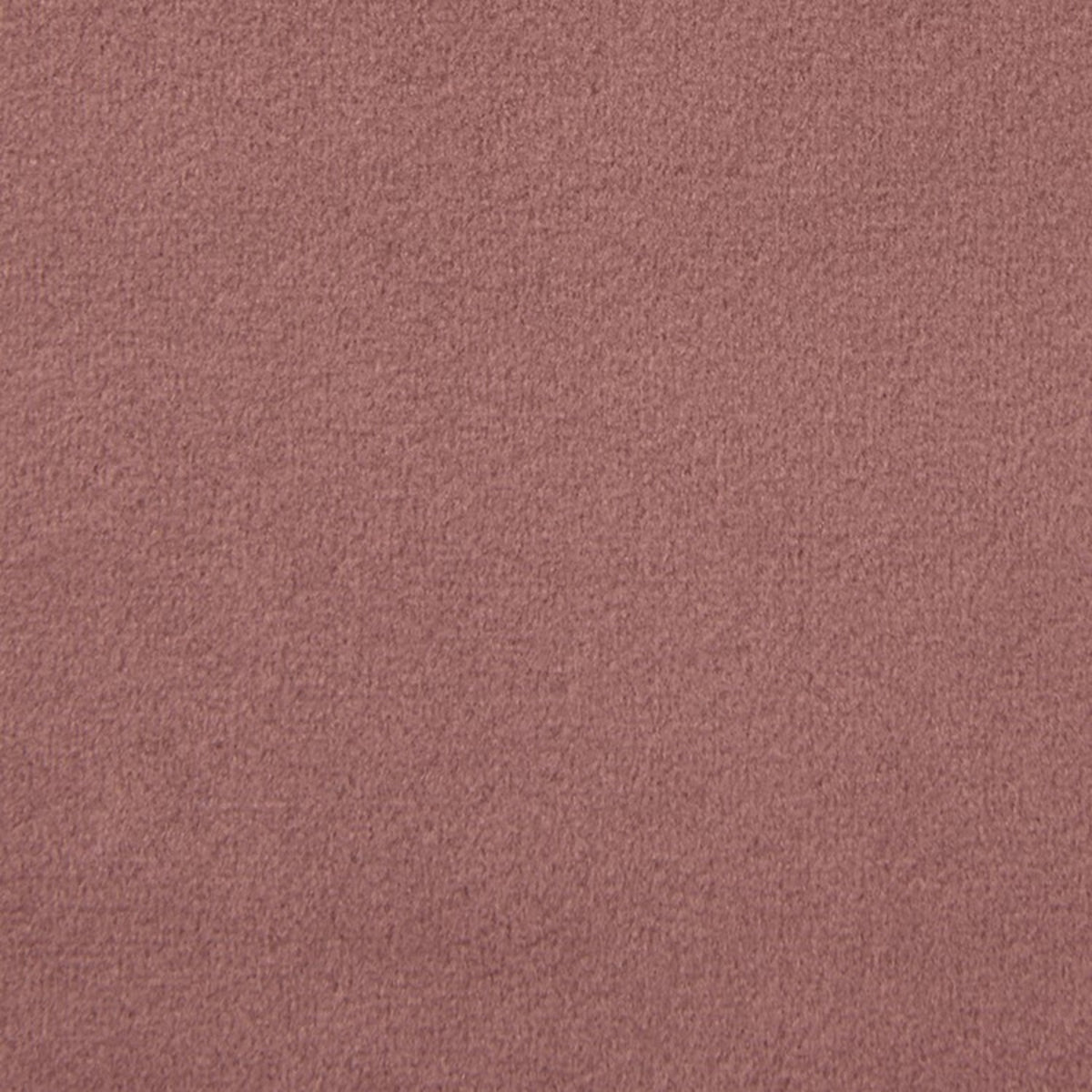 Greenhouse F5348  | Atlanta Fabrics