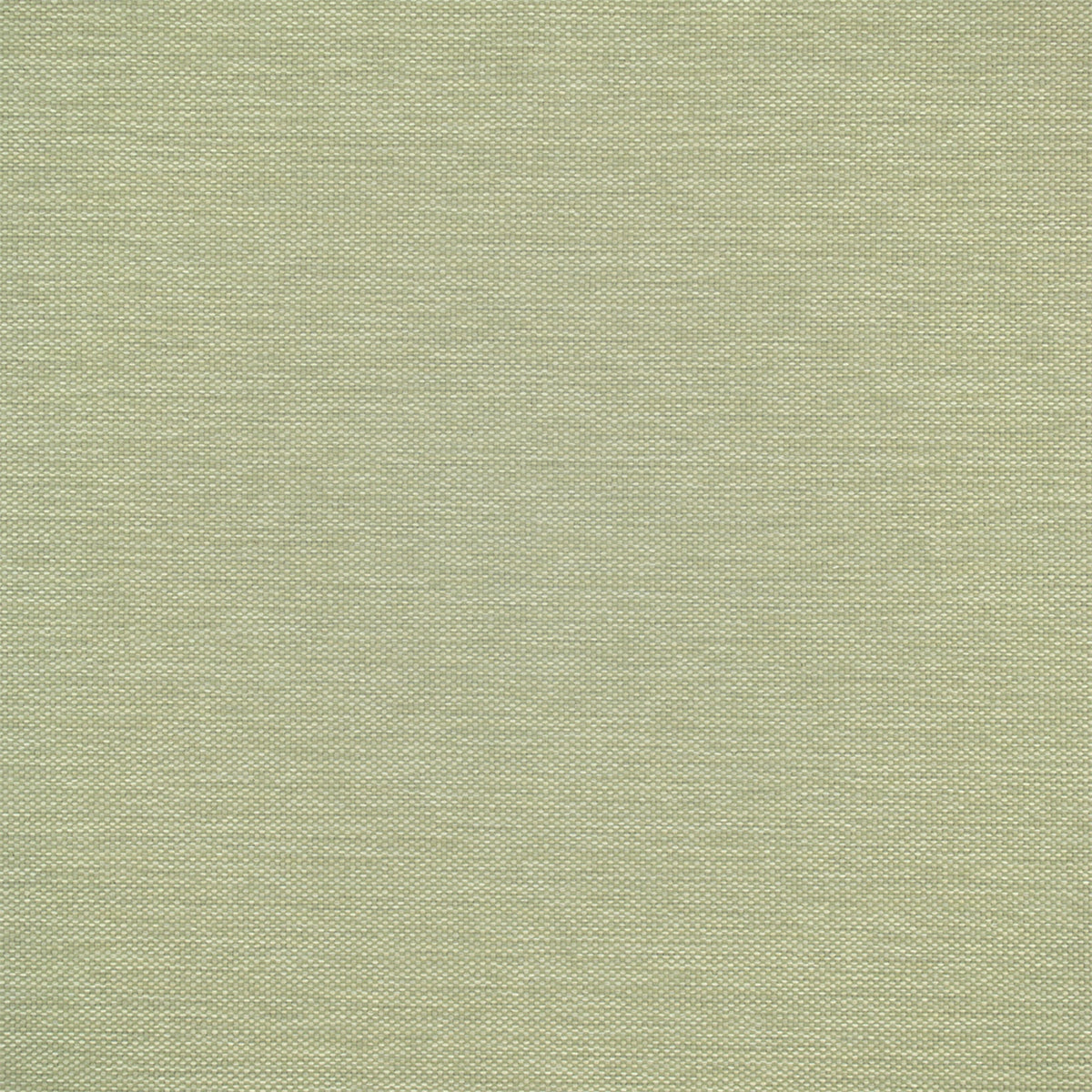 Greenhouse F5455  | Atlanta Fabrics