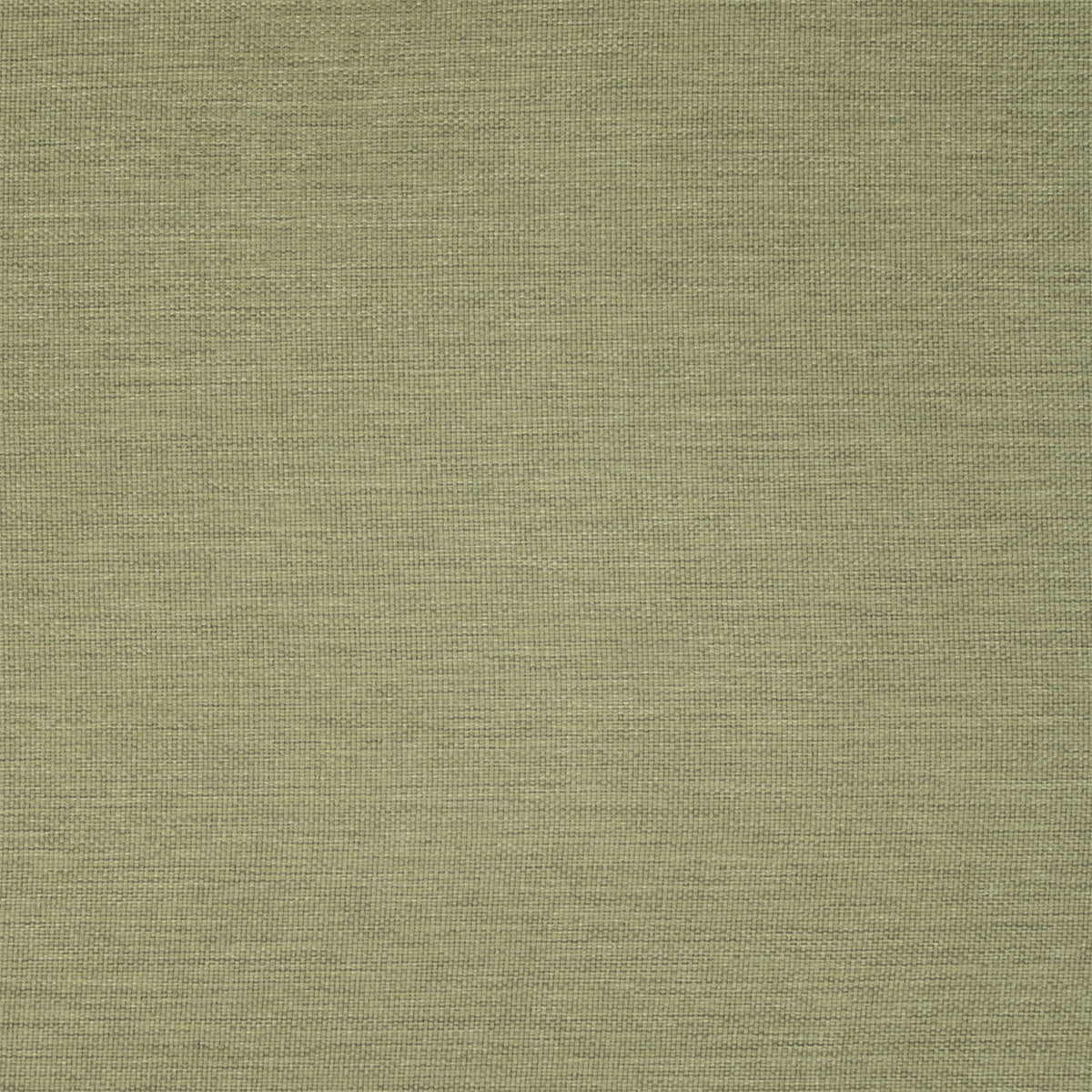 Greenhouse F5458  | Atlanta Fabrics