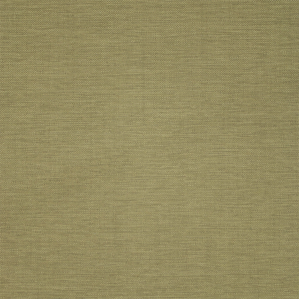 Greenhouse F5467  | Atlanta Fabrics