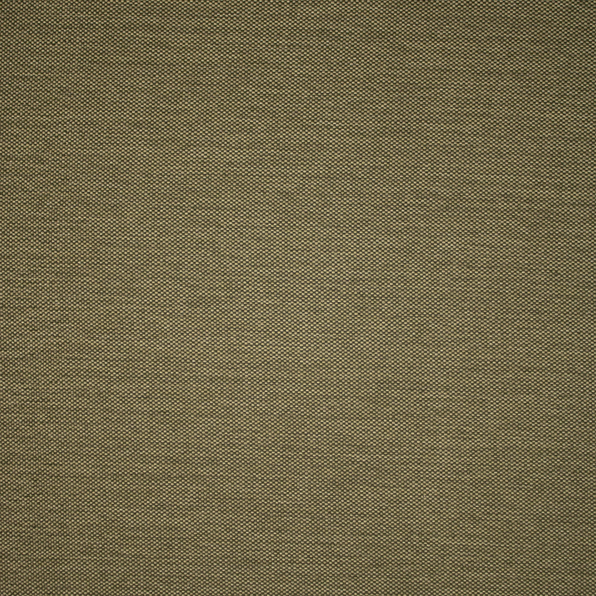 Greenhouse F5469  | Atlanta Fabrics