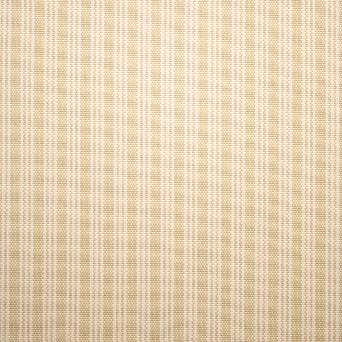 Greenhouse F5520 Fabric | Atlanta Fabrics