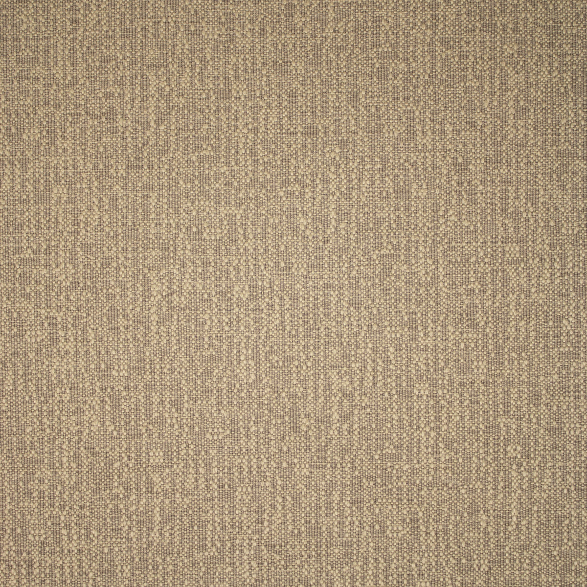 Greenhouse F5542  | Atlanta Fabrics