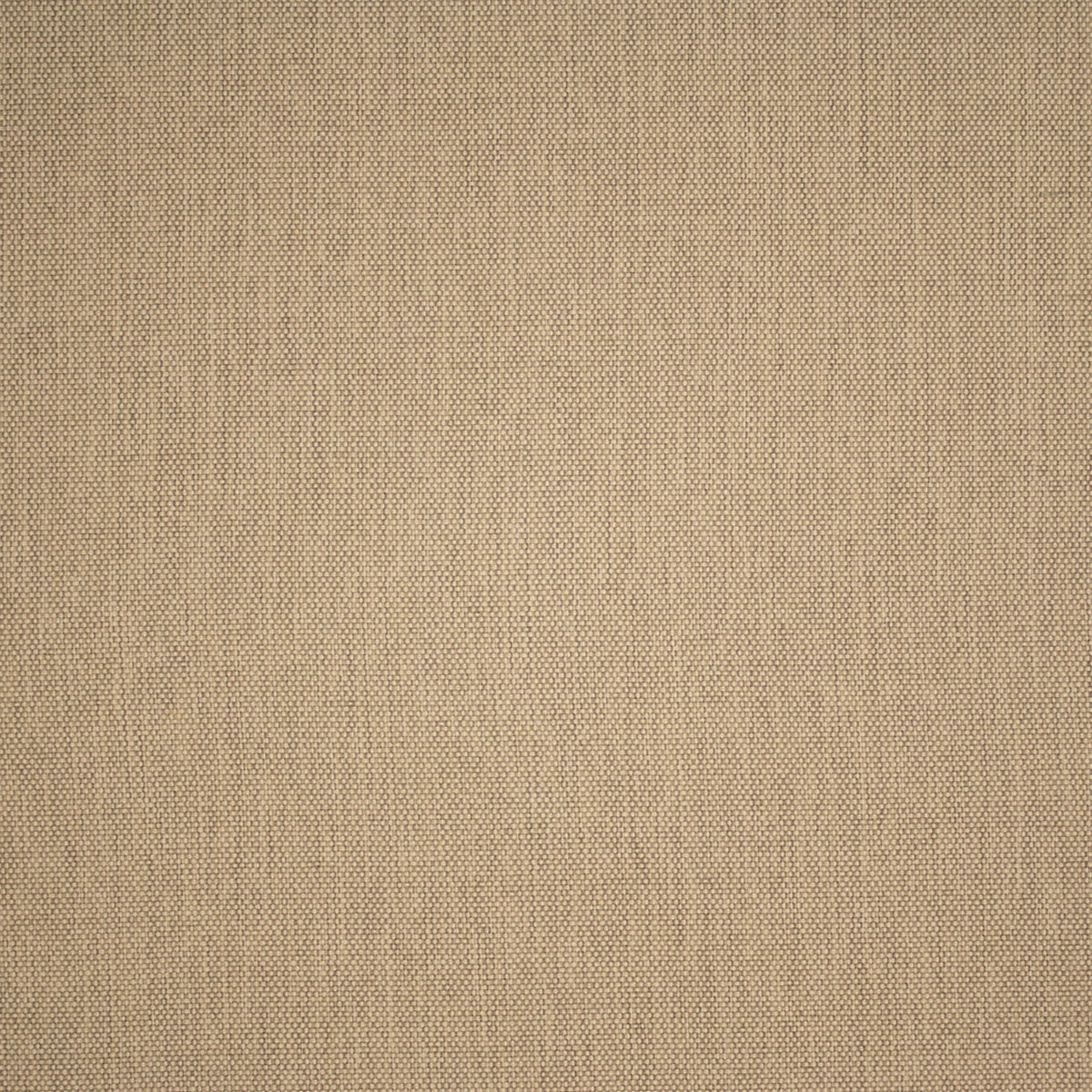 Greenhouse F5544  | Atlanta Fabrics