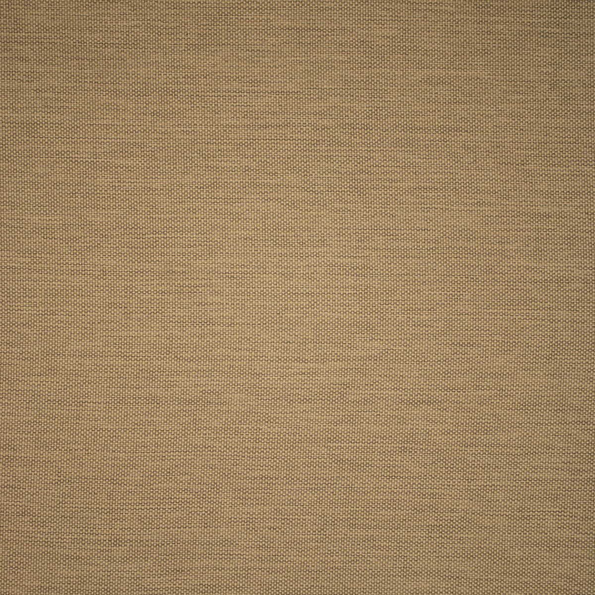 Greenhouse F5548  | Atlanta Fabrics