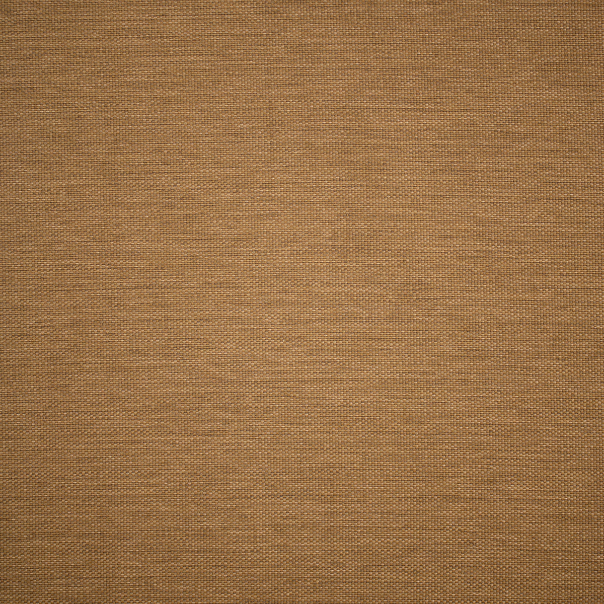 Greenhouse F5556  | Atlanta Fabrics